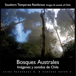 cover image of Bosques australes